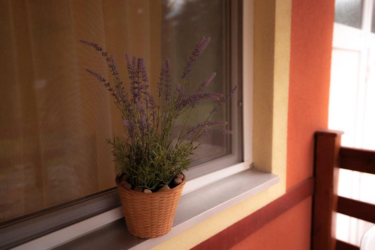 Boglarka Apartmanhaz Apartment Mezokovesd
